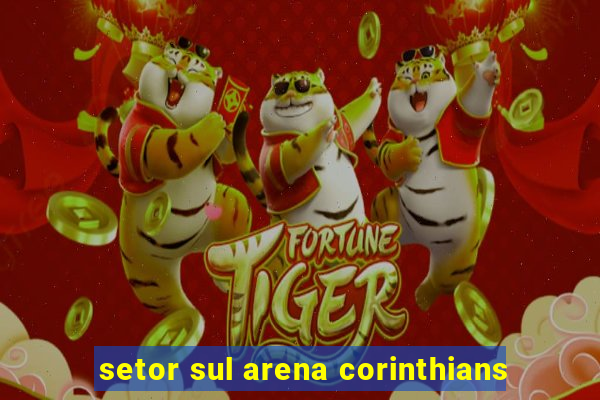 setor sul arena corinthians